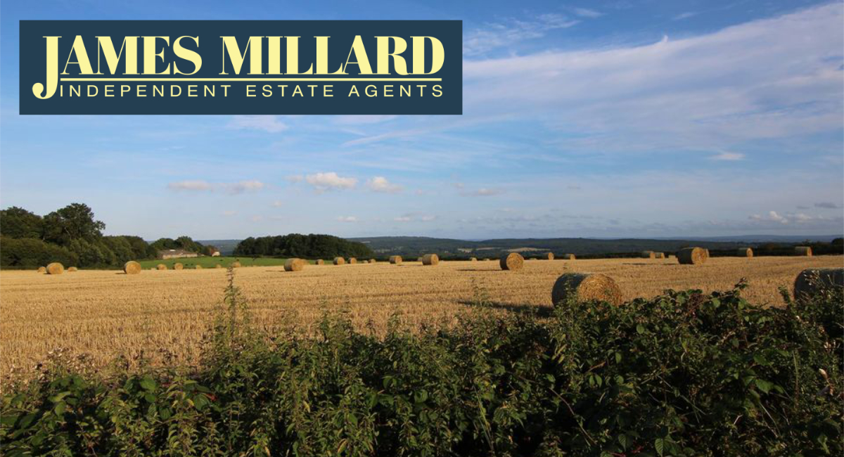 (c) Jamesmillard.co.uk